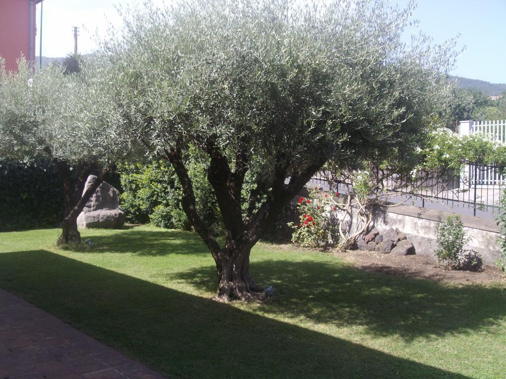 Scatitti House Villa Zafferana Etnea Bilik gambar